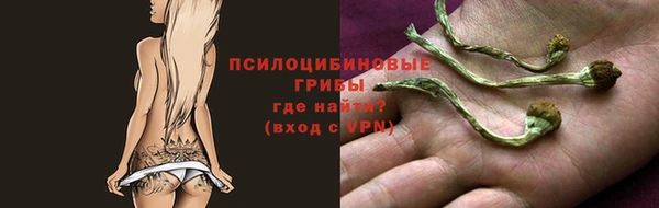 мяу мяу мука Козловка