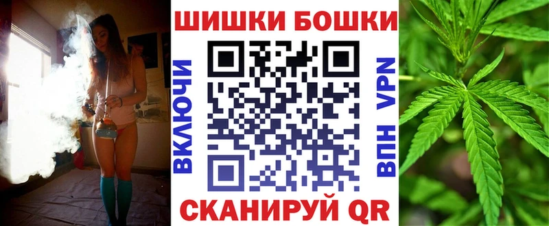 Бошки Шишки ГИДРОПОН Сенгилей
